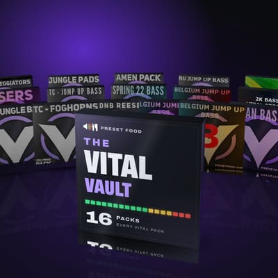 The Vital Vault cover